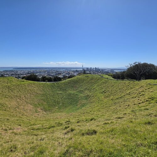 Explore Auckland – Half Day In Small Group Tour