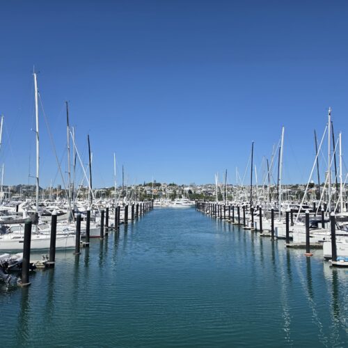 Explore Auckland – Half Day In Private Tour